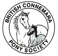 British Connemara Pony Breed Show