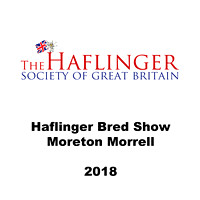 Haflinger Breed Show 2018