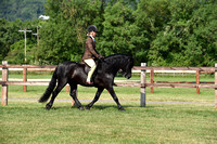 H78 Ridden Dartmoor