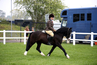 39 M&M Young Ridden Pony 4yrs