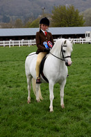 M&M Silver Medal & Supreme Flat Ridden Championships