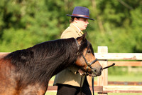 H73 & 74  Dartmoor Mare  Gelding Foal