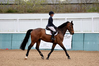 CL13 Senior Foxhunter