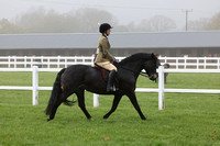 37 M&M Young Ridden Pony 6yrs