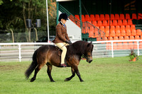 280 HOYS M&M Ridden Shetland