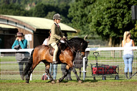 281 HOYS M&M Ridden Dartmoor