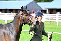 F499-500 Show Pony In Hand National Final