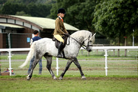 286 HOYS M&M Ridden Connemara