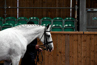 HOYS PRICE FAMILY PRE JUDGING