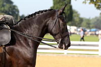 120 Ladies Side Saddle