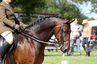 106 Small Show Hunter