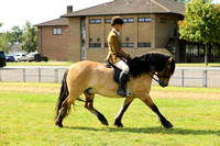 CH102L M&M Ridden Large Breed Championship