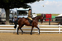 CH119 Riding Horse Championships